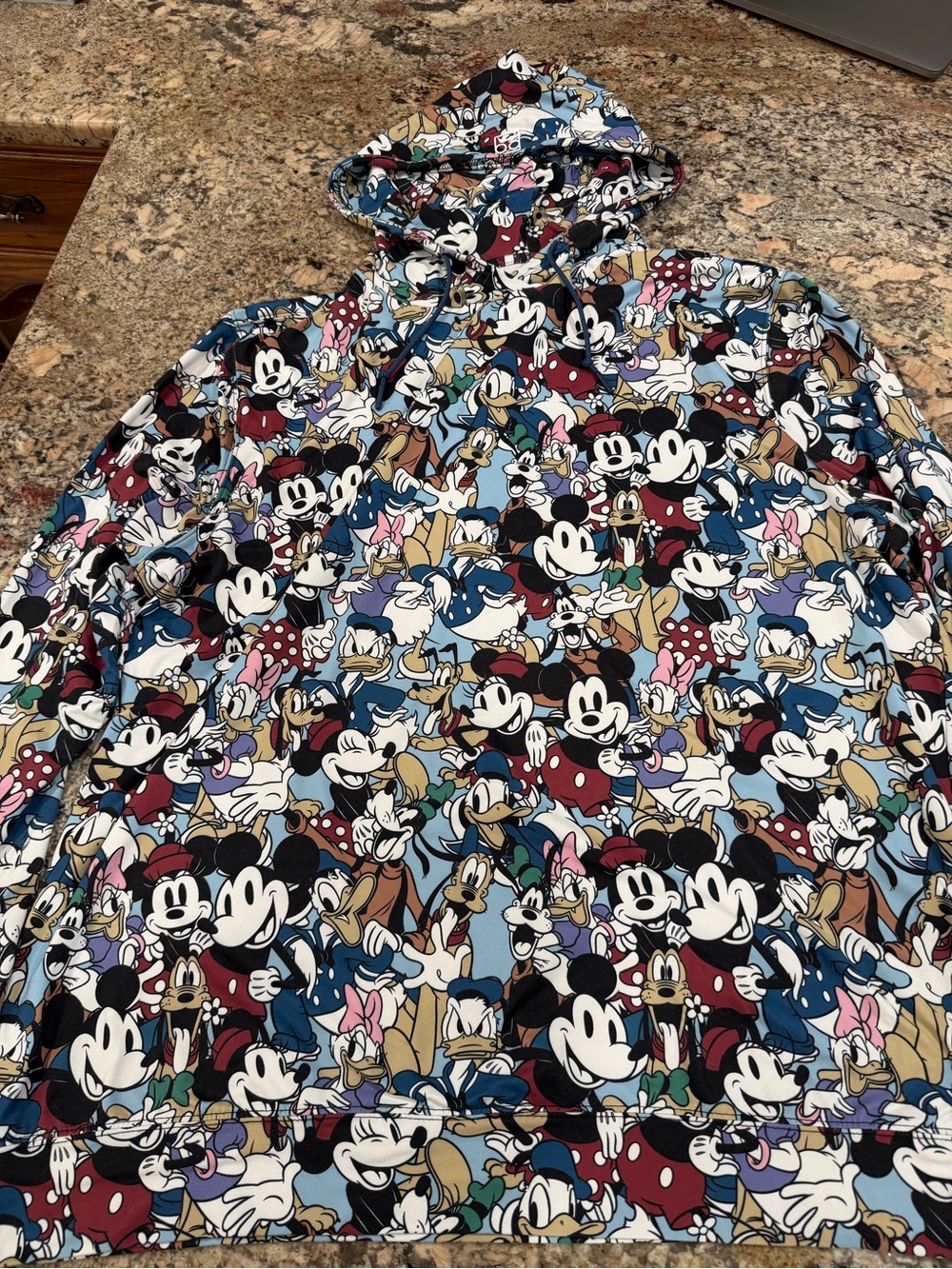 Disney Multi-Color Allover Mickey & Friends Hoodie